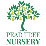 Pear Tree Nursery | Child Care and Nursery for Audley and Bignall End