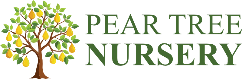 Pear Tree Nursery, Stoke-on-Trent